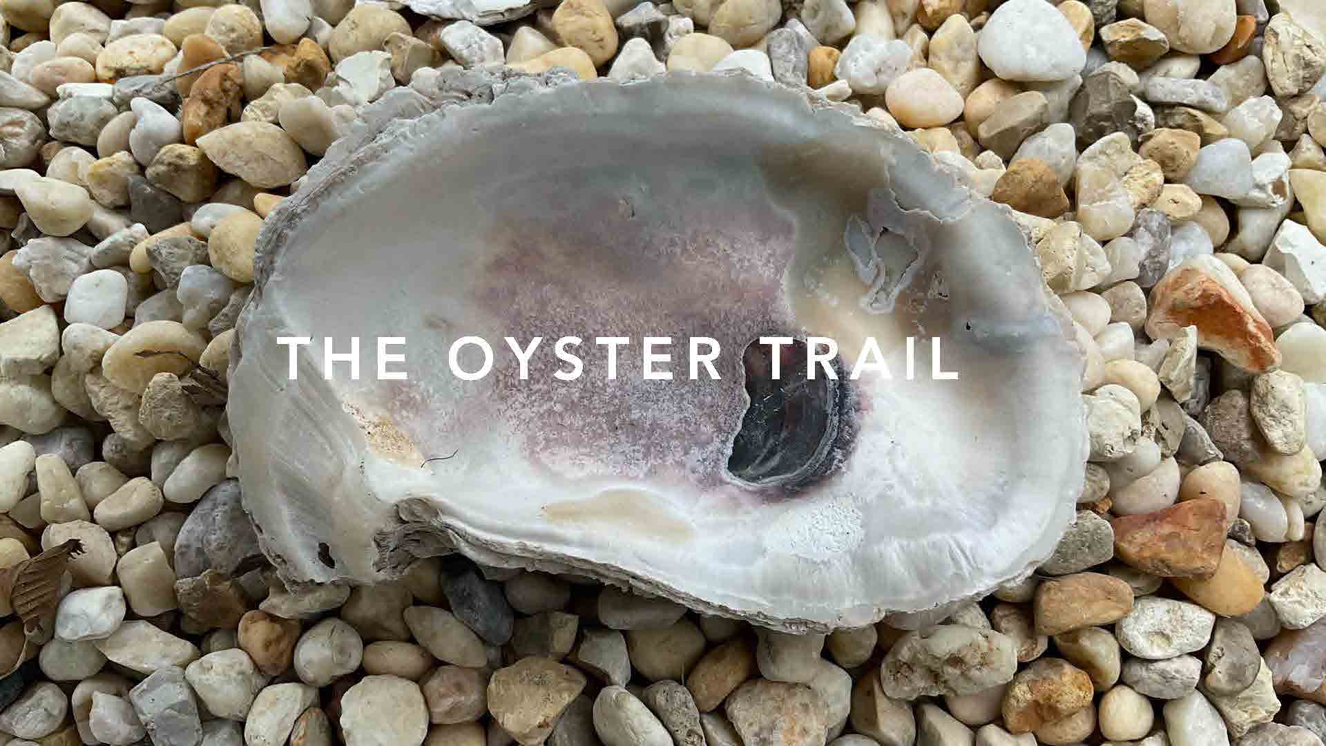 Oyster Trail Cover